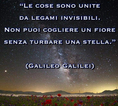 Things are united by invisible bonds. You can't pick a flower without upsetting a star (Galileo Galilei)
Anna